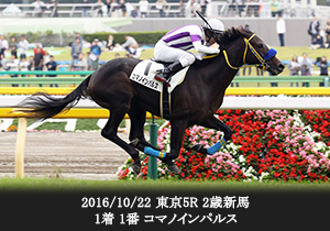 2016/10/22 東京5R 2歳新馬 1着 1番 コマノインパルス
