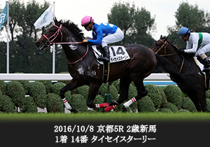 2016/10/8 京都5R 2歳新馬 1着 14番 タイセイスターリー
