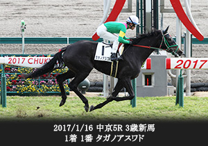 2017/1/16 中京5R 3歳新馬 1着 1番 タガノアスワド
