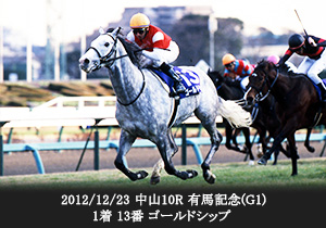 2012/12/23 中山10R 有馬記念(G1) 1着 13番 ゴールドシップ
