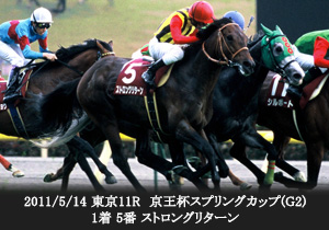 2011/5/14 東京11R 京王杯スプリングカップ(G2) 1着 5番 ストロングリターン
