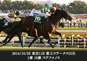 2014/10/25 東京11R 富士ステークス(G3) 1着 16番 ステファノス

