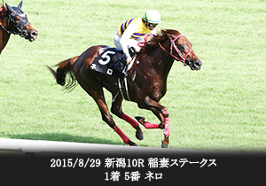 2015/8/29 新潟10R 稲妻ステークス 1着 5番 ネロ

