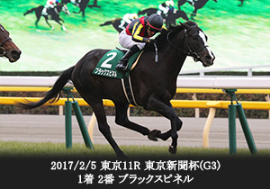 2017/2/5 東京11R 東京新聞杯(G3) 1着 2番 ブラックスピネル

