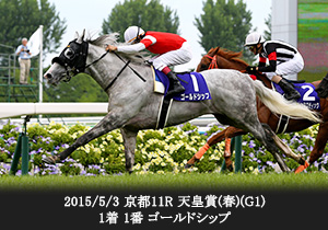 2015/5/3 京都11R 天皇賞(春)(G1) 1着 1番 ゴールドシップ
