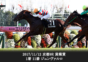 2017/11/12 京都9R 黄菊賞 1着 11番 ジュンヴァルロ