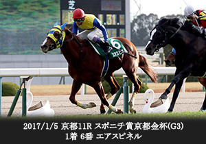 第1178回 2018年も中央競馬は金杯から 京都金杯のデータを読む データde出 た 競馬情報ならjra Van