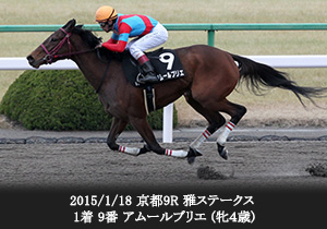 2015/1/18 京都9R 雅ステークス 1着 9番 アムールブリエ (牝４歳)