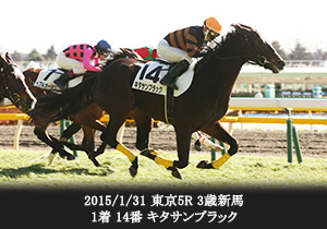 2015/1/31 東京5R 3歳新馬 1着 14番 キタサンブラック

