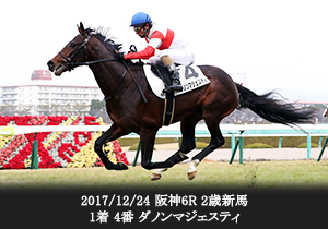 2017/12/24 阪神6R 2歳新馬 1着 4番 ダノンマジェスティ

