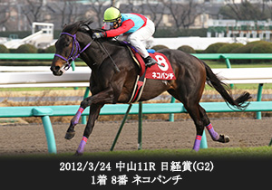 2012/3/24 中山11R 日経賞(G2) 1着 8番 ネコパンチ
