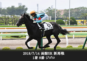 2018/7/14 函館5Ｒ 新馬戦 1着 8番 ジゴロ