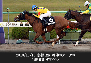 2018/11/18 京都12R 西陣ステークス 1着 6番 タテヤマ
