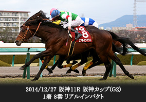 2014/12/27 阪神11R 阪神カップ(G2) 1着 8番 リアルインパクト
