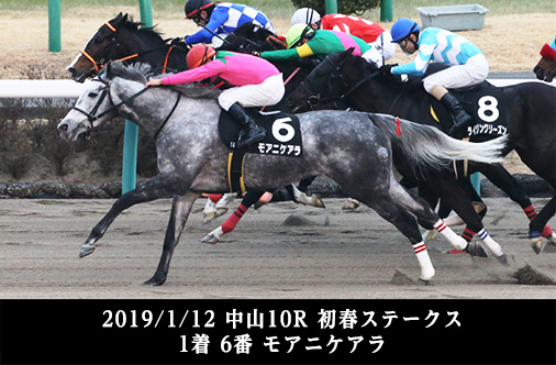 2019/1/12 中山10R 初春ステークス 1着 6番 モアニケアラ
