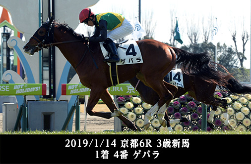 2019/1/14 京都6R 3歳新馬 1着 4番 ゲバラ