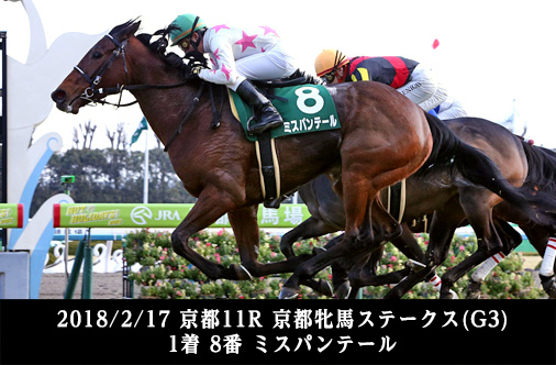 2018/2/17 京都11R 京都牝馬ステークス(G3) 1着 8番 ミスパンテール