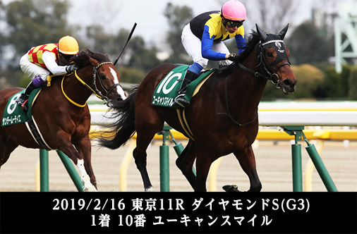 2019/2/16 東京11R ダイヤモンドS(G3) 1着 10番 ユーキャンスマイル