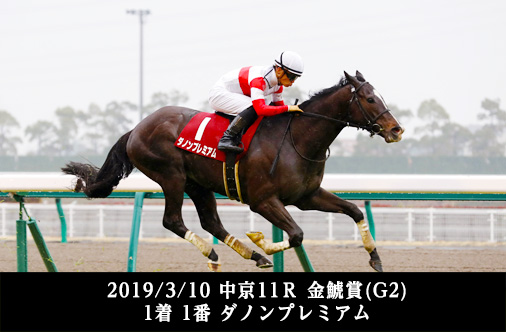 2019/3/10 中京11Ｒ 金鯱賞(G2)1着 1番ダノンプレミアム