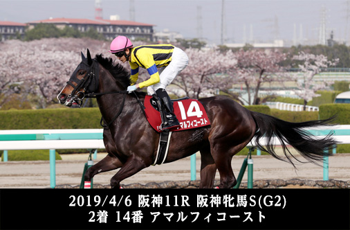 2019/4/6 阪神11R阪神牝馬Ｓ(G2) 2着 14番アマルフィコースト