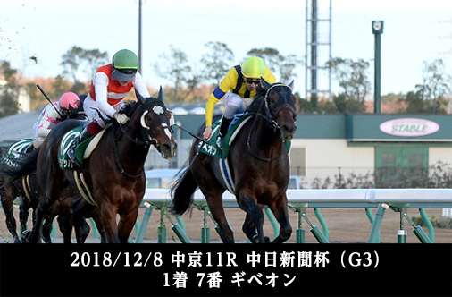 2018/12/8 中京11R 中日新聞杯 (G3) １着 7番 ギベオン