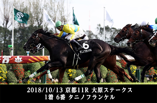 2018/10/13 京都11R 大原ステークス １着 6番 タニノフランケル