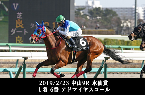2019/2/23 中山9R 水仙賞 1着 6番 アドマイヤスコール