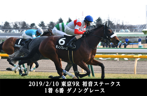 2019/2/10 東京9R 初音ステークス 1着 6番 ダノングレース