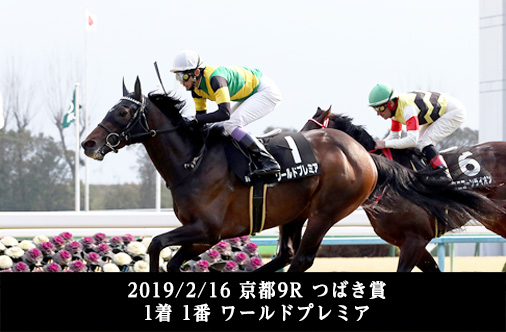2019/2/16 京都9R つばき賞 1着 1番 ワールドプレミア
