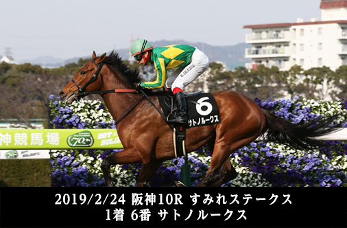 2019/2/24 阪神10R すみれステークス 1着 6番 サトノルークス