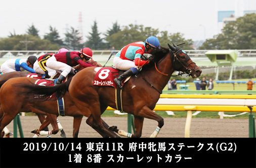 2019/10/14 東京11R 府中牝馬ステークス(G2) 1着 8番 スカーレットカラー