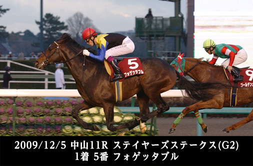 2009/12/5 中山11R ステイヤーズステークス(G2) 
1着 5番 フォゲッタブル