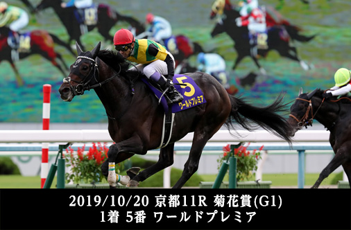 2019/10/20 京都11R 菊花賞(G1) 1着 5番 ワールドプレミア