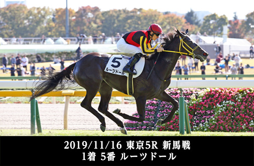 2019/11/16 東京5R 新馬戦 1着 5番 ルーツドール
