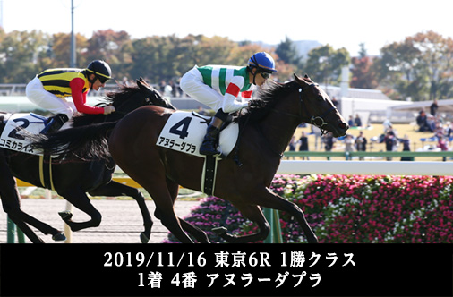 2019/11/16 東京6R 1勝クラス 1着 4番 アヌラーダプラ
