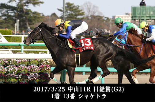 2017/3/25 中山11R 日経賞(G2) 1着 13番 シャケトラ