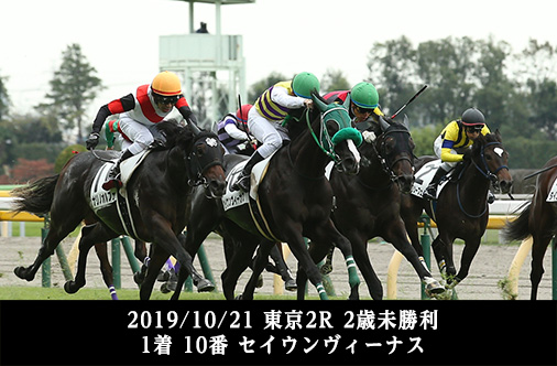 2019/10/21 東京2R 2歳未勝利 1着 10番 セイウンヴィーナス