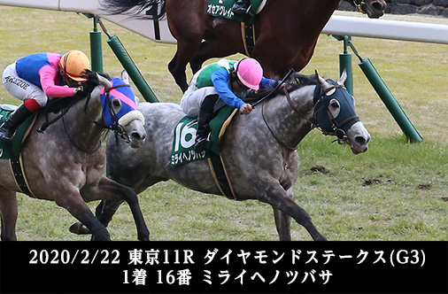 2020/2/22 東京11R ダイヤモンドステークス(G3) 1着 16番 ミライヘノツバサ