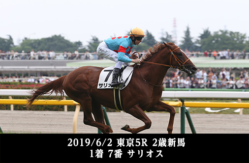 2019/6/2 東京5R 2歳新馬 1着 7番 サリオス