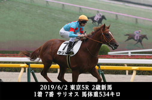 2019/6/2 東京5R 2歳新馬 1着 7番 サリオス 馬体重534キロ