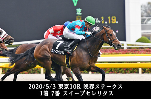 2020/5/3 東京10R 晩春ステークス 1着 7番 スイープセレリタス