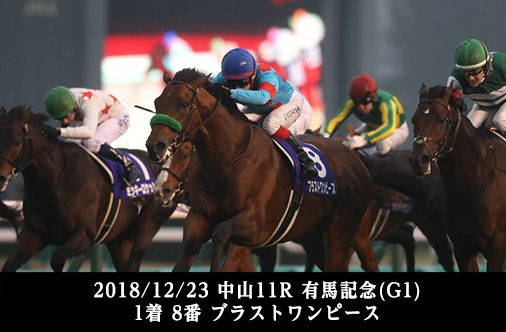 2018/12/23 中山11R 有馬記念(G1) 1着 8番 ブラストワンピース
