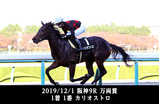 2019/12/1 阪神9R 万両賞 1着 1番 カリオストロ