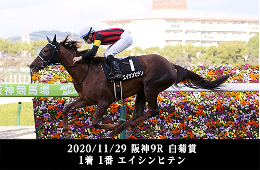 2020/11/29 阪神9R 白菊賞 1着 1番 エイシンヒテン 