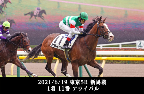 2021/6/19 東京5R 新馬戦 1着 11番 アライバル