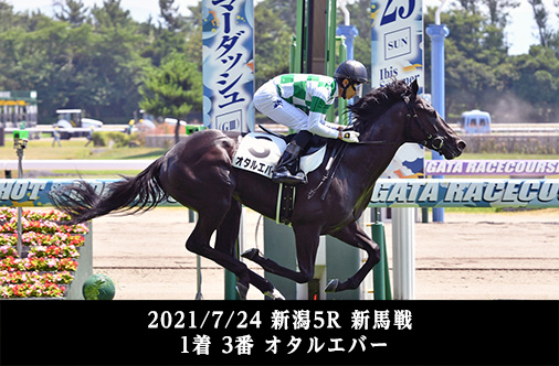 2021/7/24 新潟5R 新馬戦 1着 3番 オタルエバー