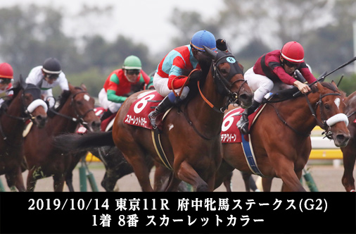 2019/10/14 東京11Ｒ 府中牝馬ステークス(G2) 1着 8番 スカーレットカラー