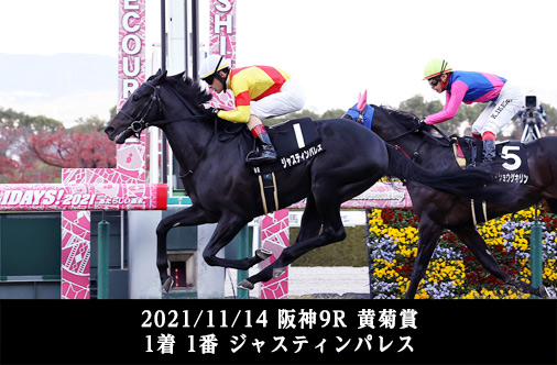 2021/11/14 阪神9R 黄菊賞 1着 1番 ジャスティンパレス