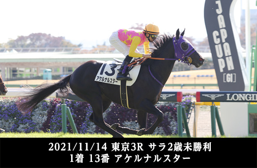 2021/11/14 東京 3R サラ2歳未勝利 1着 13番 アケルナルスター