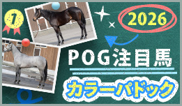 �琬�q��J���[�p�h�b�N2026